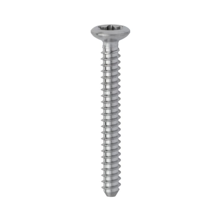 Screw-System TX TCT 09 10mm 10St