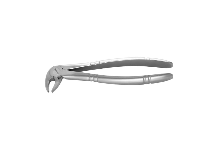 Zahnzange UK Fig. 13 Haftprofil