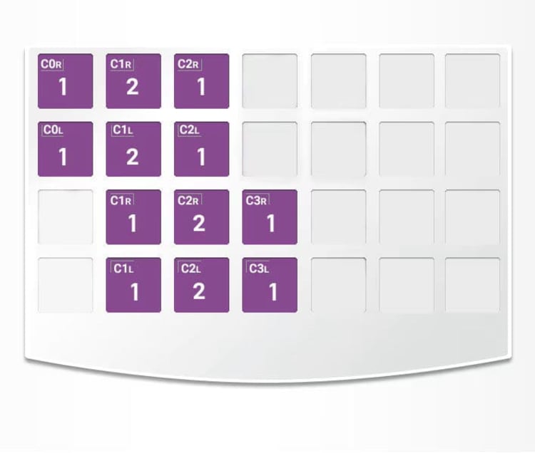 ZR NuSmile Kit for Baby Teeth, Type set: Evolution set