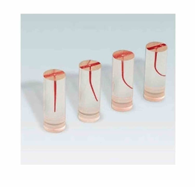 Endo-Trainer rote Wurzel 10°