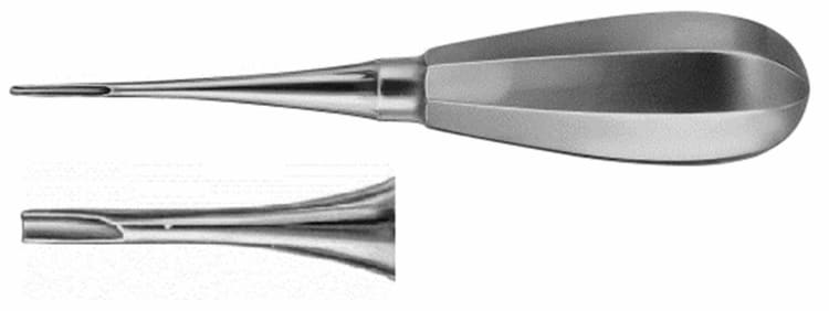 Wurzelheber DL038