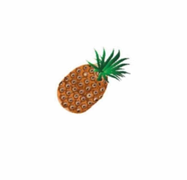 Non-Latex Ringe Ananas 1000St