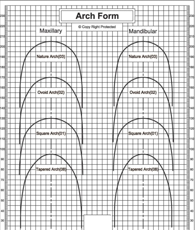RCS NiTi Super Elastic archwires 10/PK, .017 x .025, lower