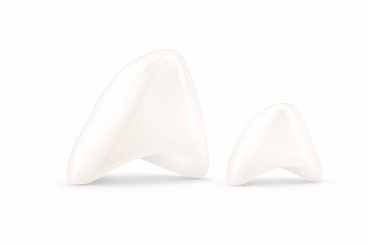 Shinhung Zirconia Crowns Refill Set for Primary Canines, 2 pcs, Size: CR1