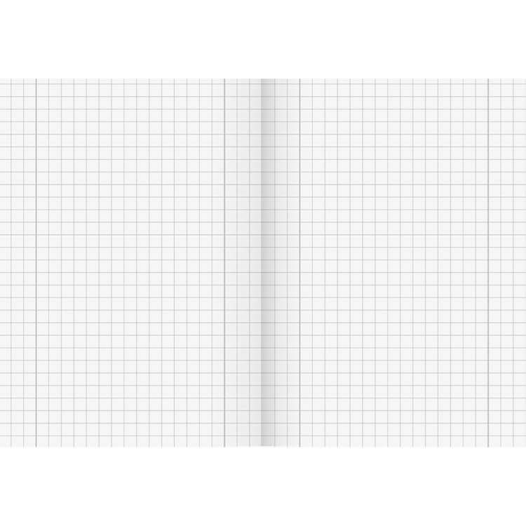 Brunnen exercise book A4 ruling Lin 28 16 sheets squared