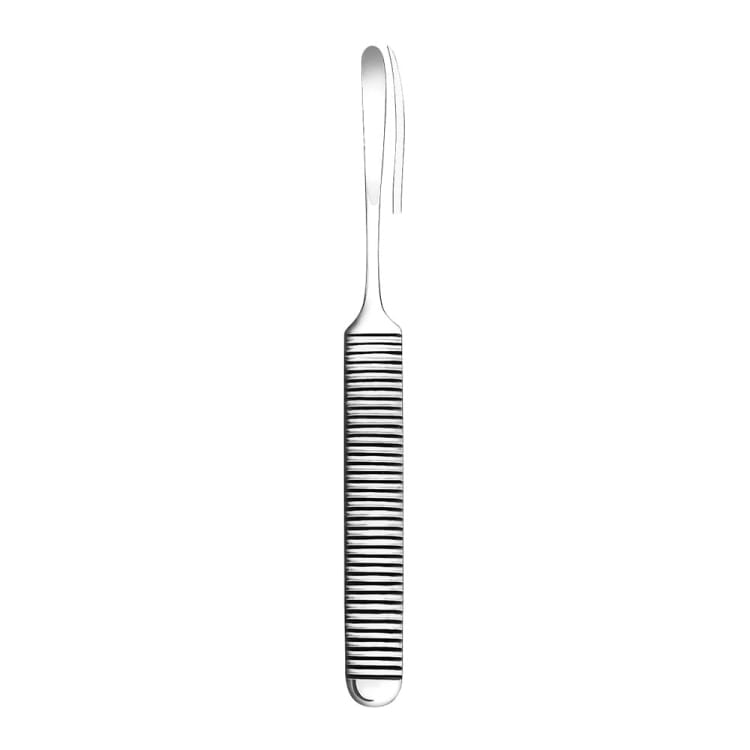 Raspatorium 1804