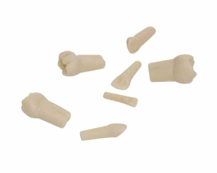 Frasaco Model Tand AK-6/2 ZE 64 OK Child