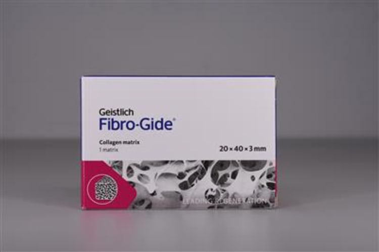 500841  FIBRO-GIDE KOLLAGENMATRIX 20X40X3MM