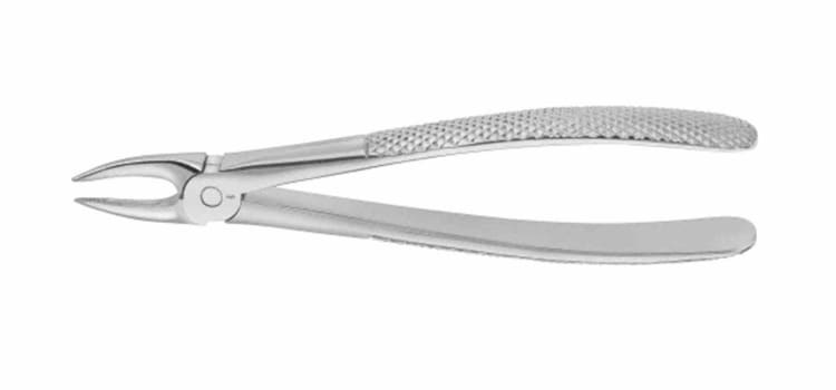 Zahnzange DG300
