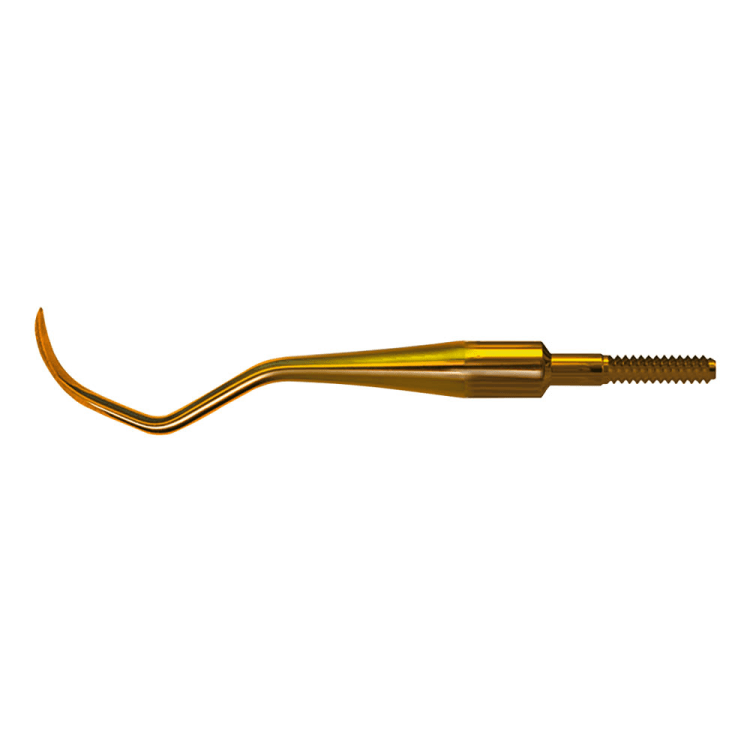 Scaler 311 SP Quick Tip AE