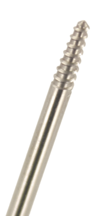 Träger für Gummipolier ohne Rand (1 Packung á 5 Stück)