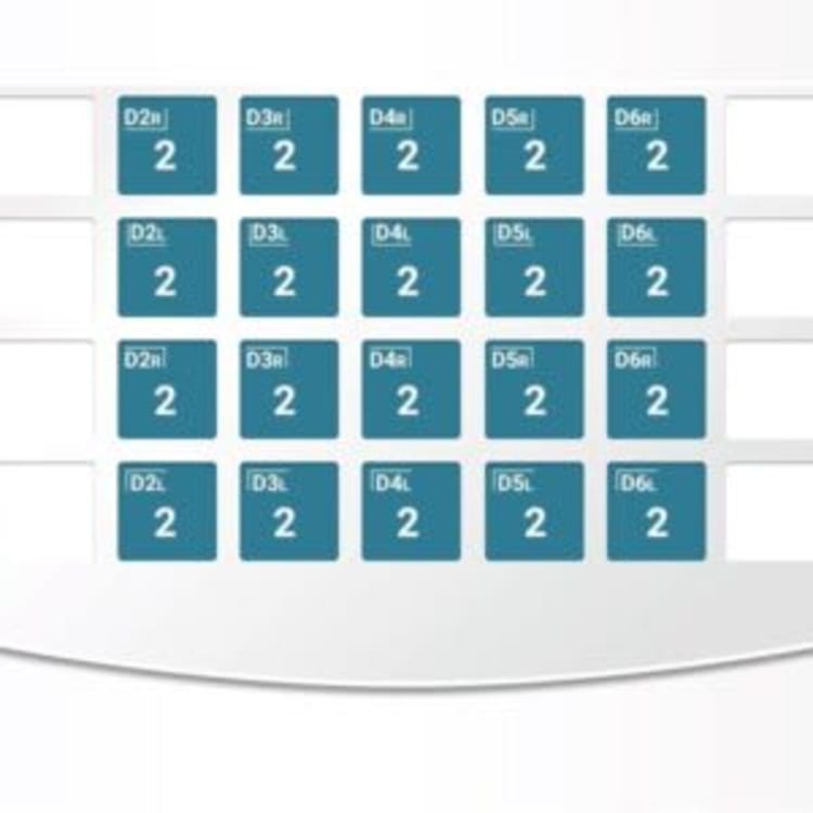 ZR NuSmile Set for the First Primary Molar – Primary Teeth, Type set: Starter pack