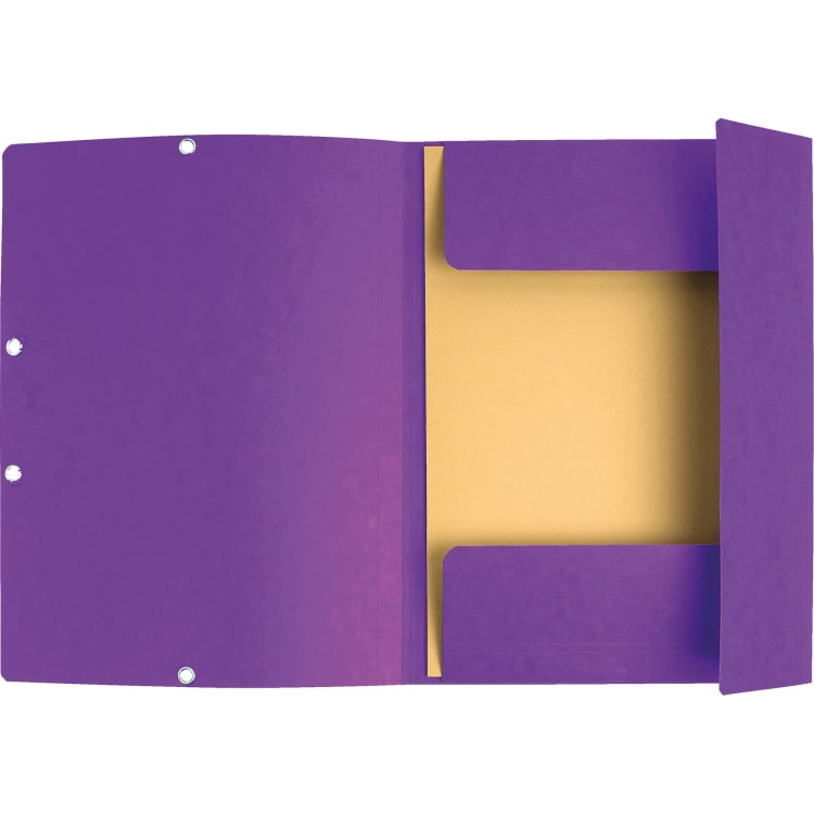 Exacompta Nature Future elastic folder A4 400 g cardboard violet