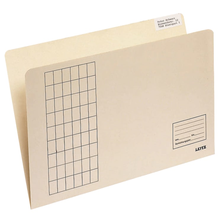 Leitz insert folder A4 180 g cardboard 100 pieces chamois