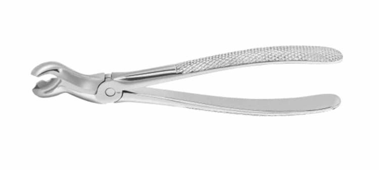 Zahnzange Felsch DG270