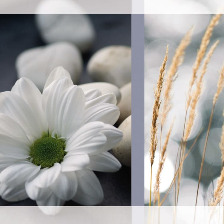Sigel condolence card sympathy DL 220 g 10 pieces with envelopes