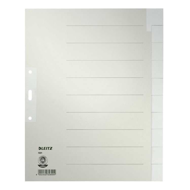 Leitz Register DIN A4 10-teilig grau