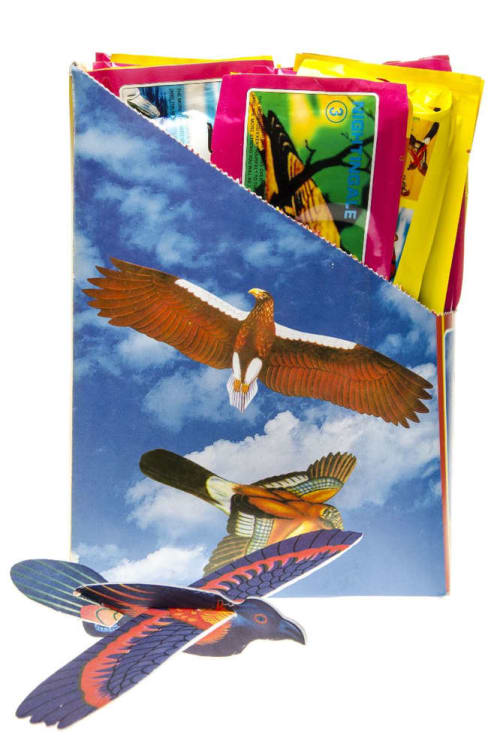 Styropor-Flieger Vogel (48 St.)