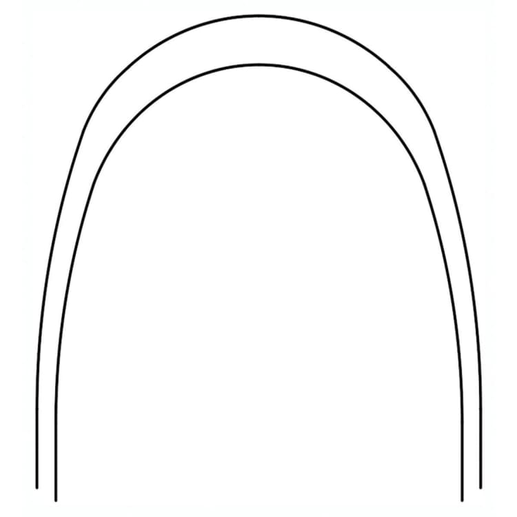 Nitanium Bio-Kinetix archwires thermal-active Pro Form 10/PK, .019 x .025, upper