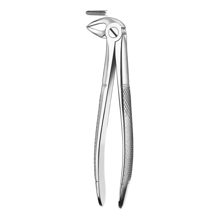 Zahnzange E33A UK Wurzeln