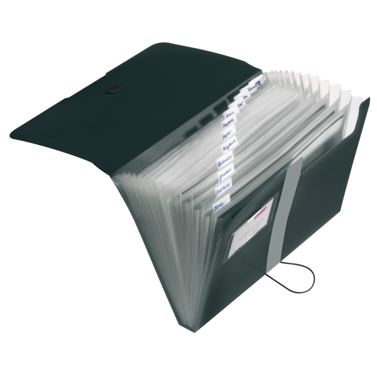 Herlitz expanding file easy orga to go A4 12 compartments PP black