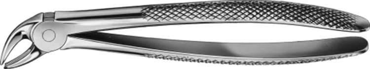 Aesculap ANATOMICA Zahnzange Shape 33 - UK Incisors & Premolars