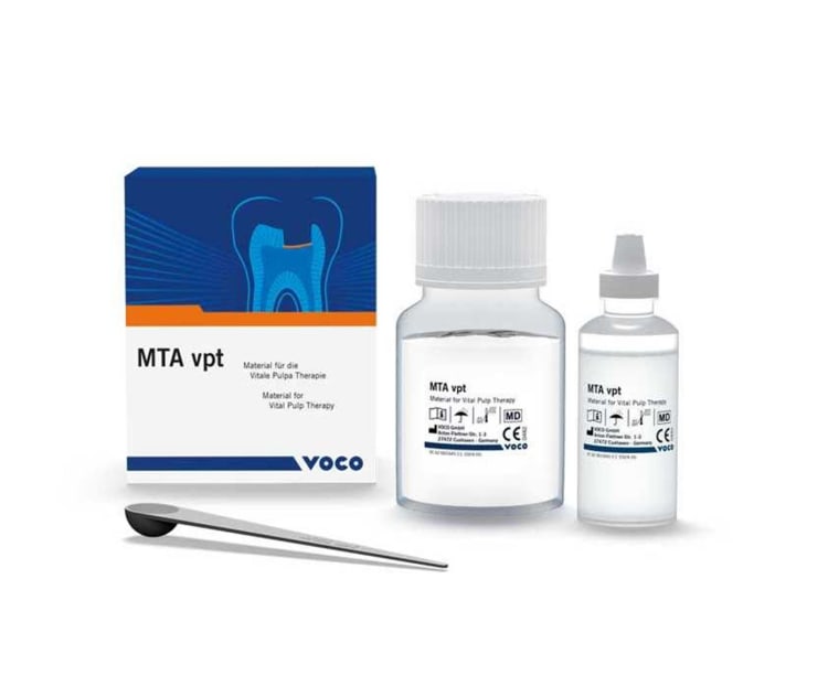 VOCO MTA Vpt Powder 10g