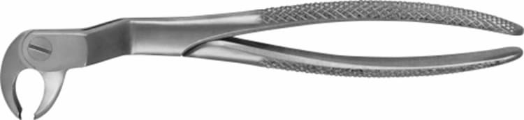 Zahnzange DG542