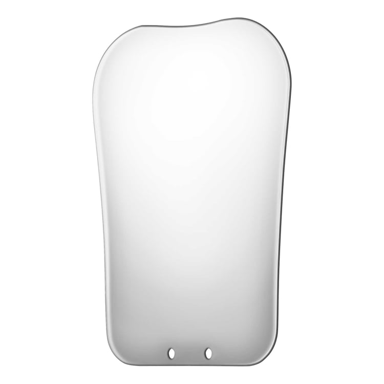 Photo mirror, palatal