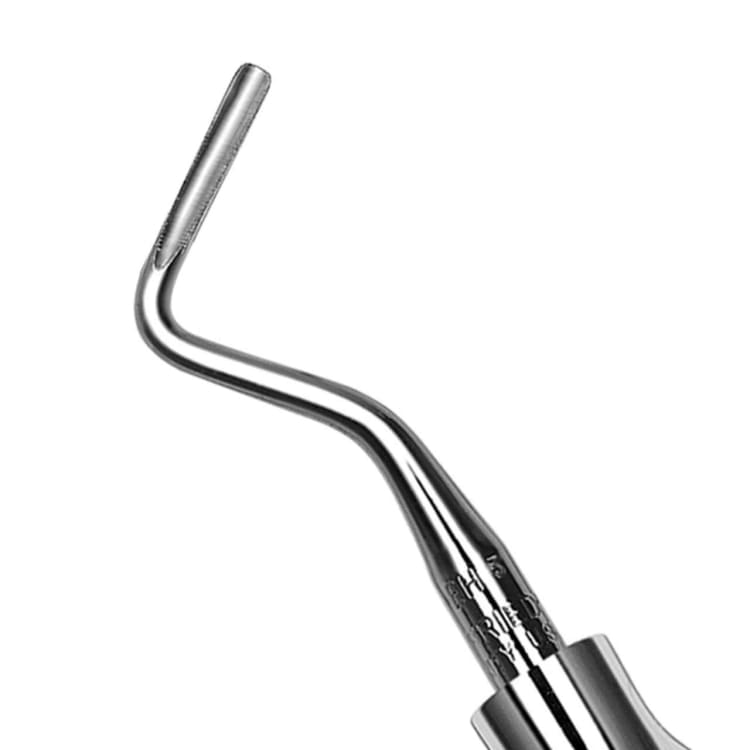 Wurzelheber 5 Gr.2 Hourigan