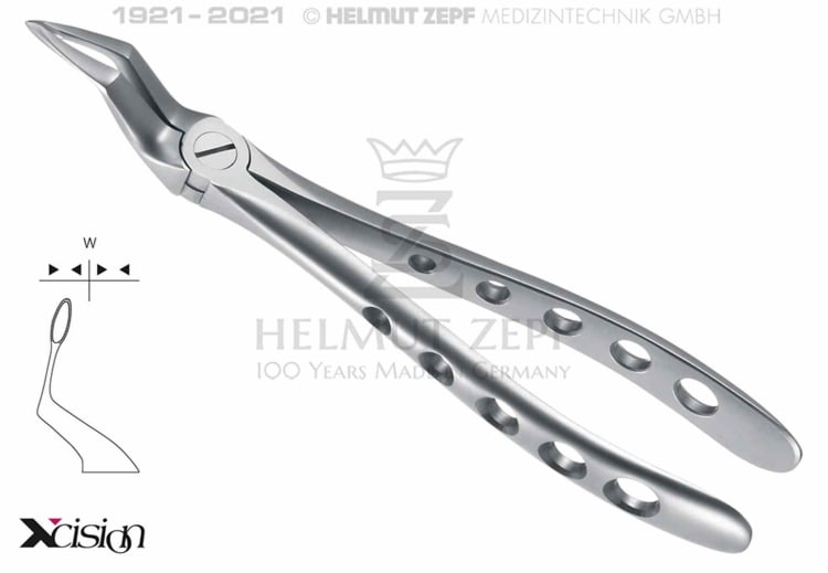 Wurzelzange Fig.51-SB OK ZS Xcision-L.St