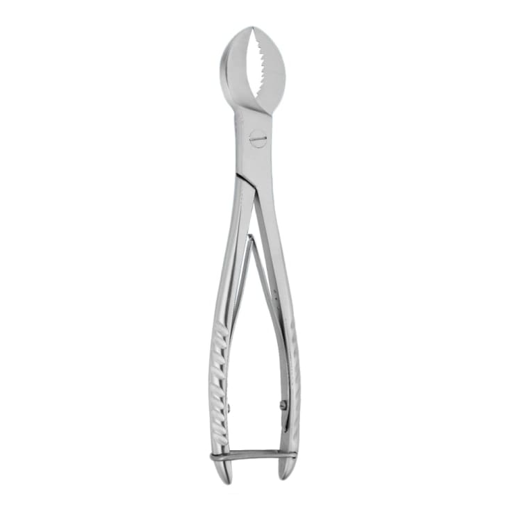 Plaster Cutting Scissors, Size = 17 cm