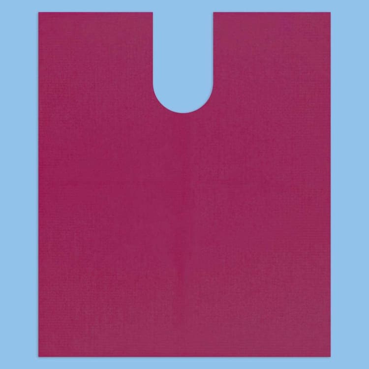 Euronda Monoart Bib Up! Patient Capes Weinrot