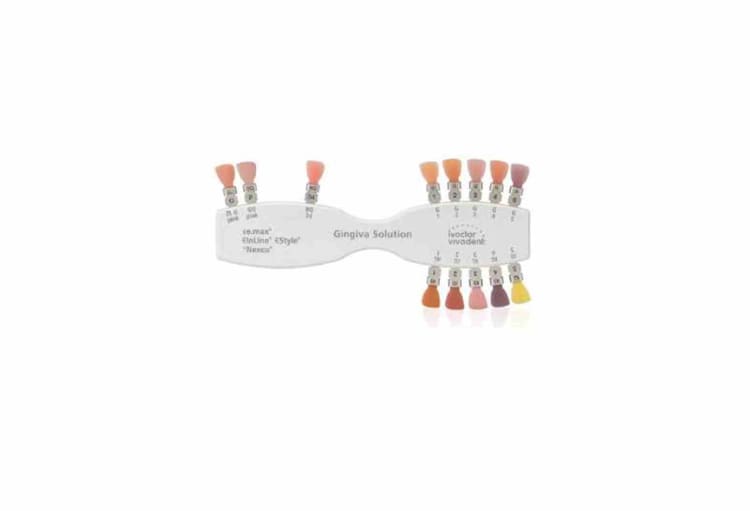 Farbschlüssel Gingiva Solution