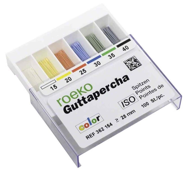 Guttaperchasp. Top-Color SP 100 100St