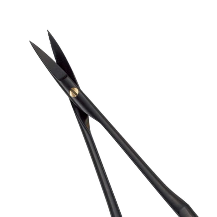 Schere Castro Micro/Chir. Black Line