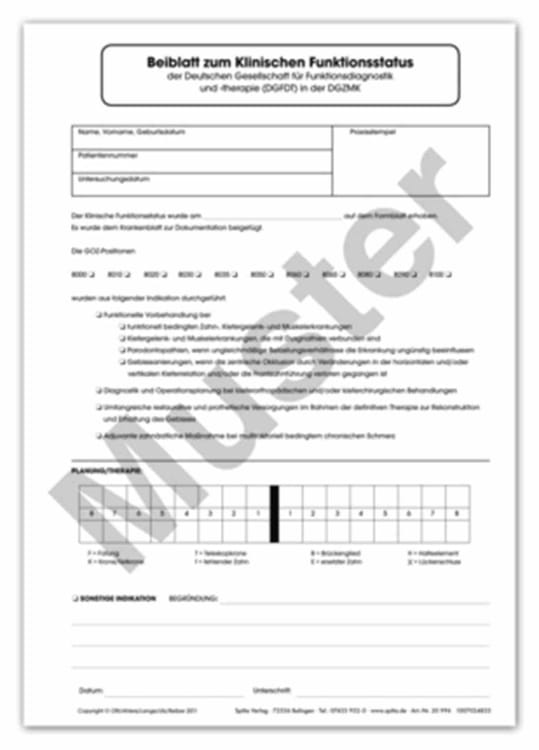 Beiblatt Funk.-Status Klini. 100St