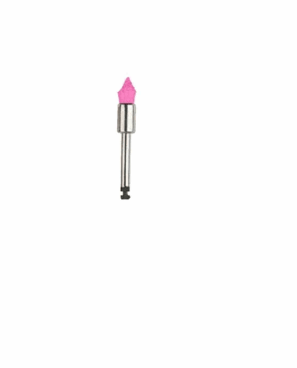 Edenta Prophylaxe Nylon Brushes Pink Flamme