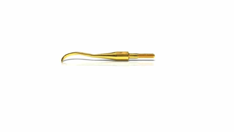 Scaler H7 XP Quick Tip AE