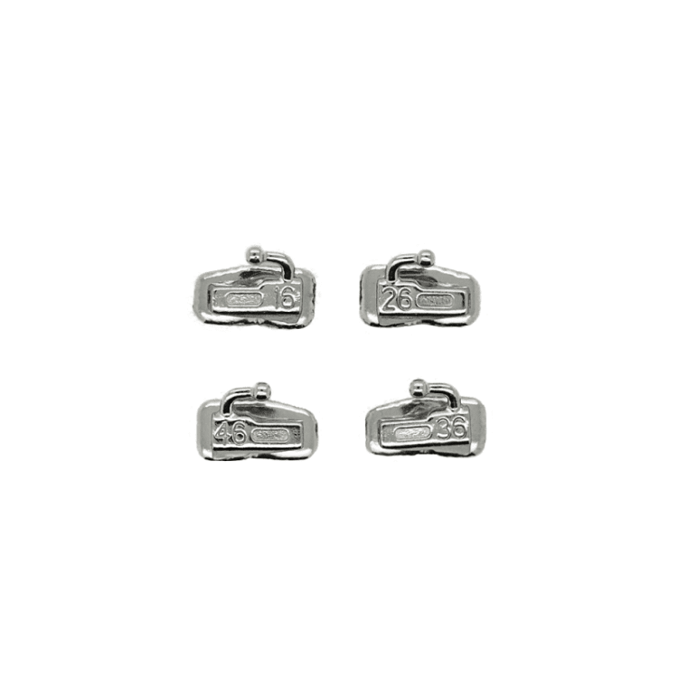 Bukkalröhrchen (1.Molar)