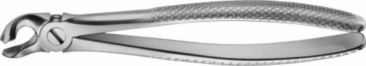 Zahnzange DG659