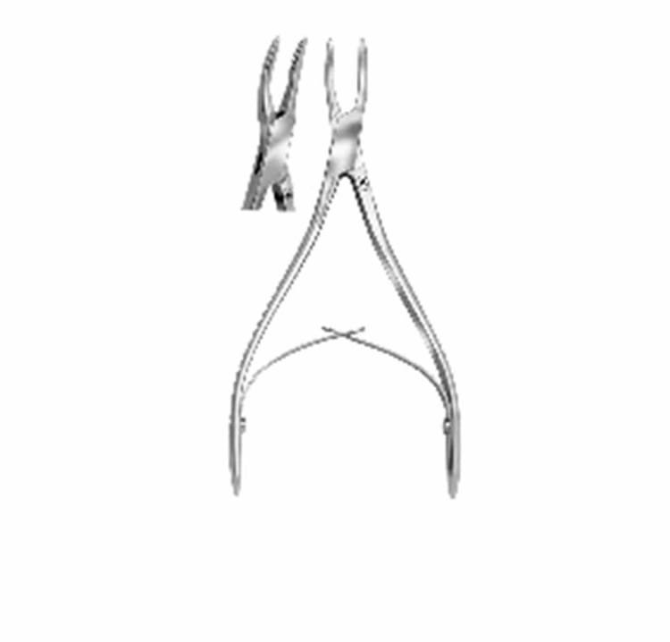Hohlmeisselzange HSK 481-01