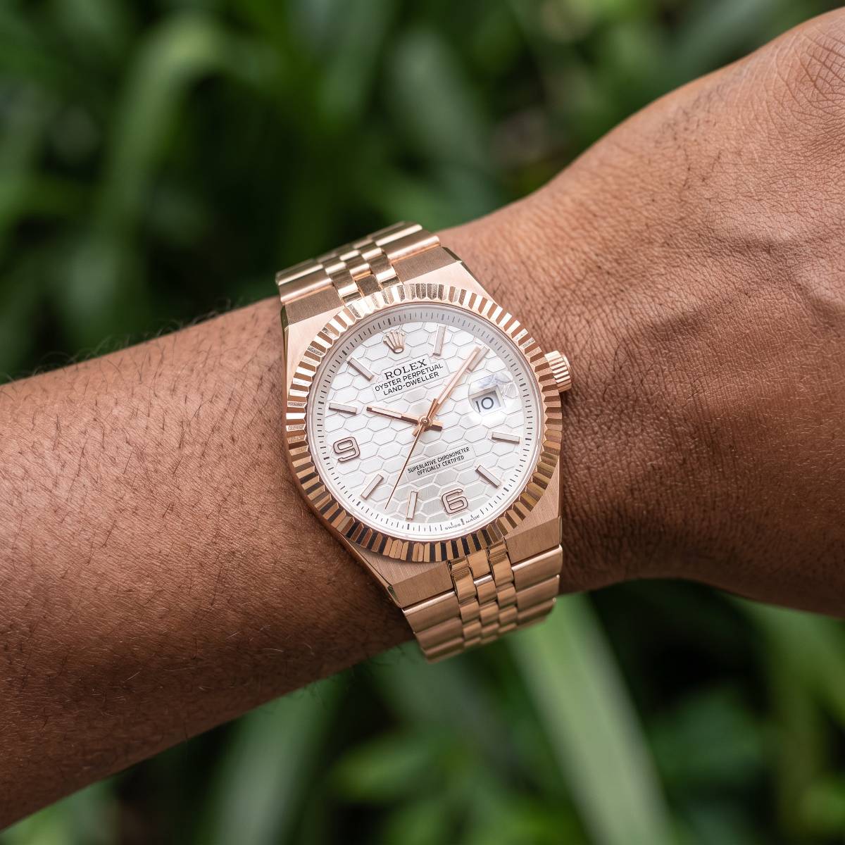 Rolex Oyster Perpetual Land-Dweller view 2