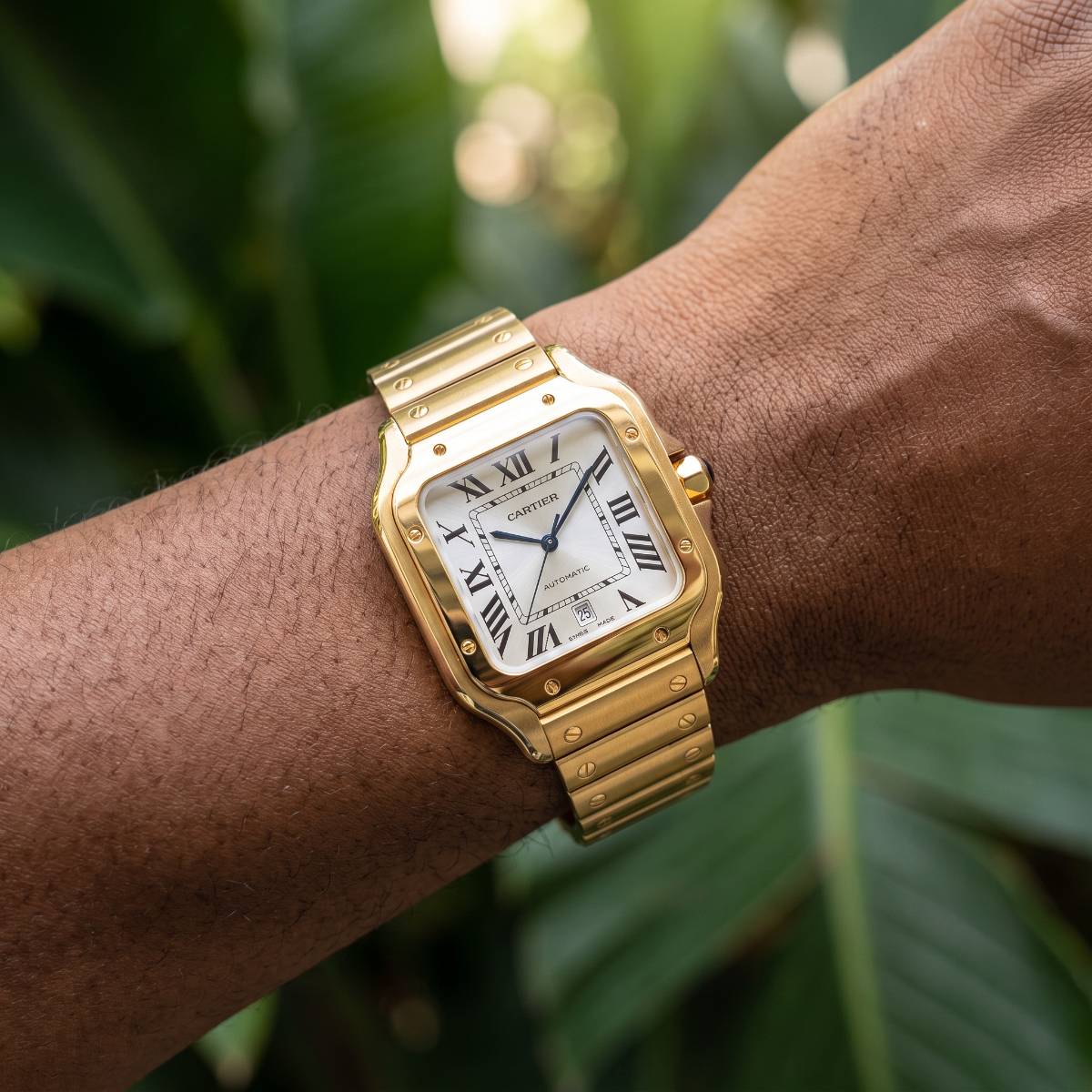 Cartier Santos de Cartier Automatic view 2