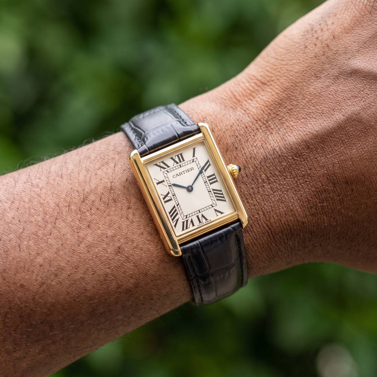 Cartier Tank Must Large view 2
