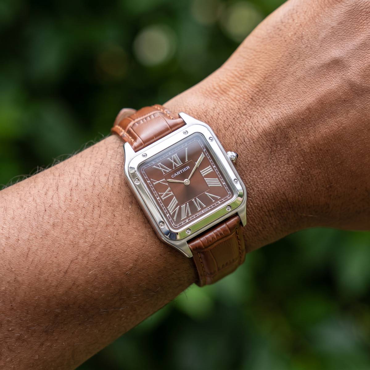 Cartier Santos-Dumont Brown Dial view 2