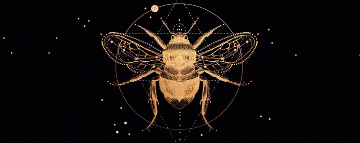 Over a black background with some golden dots simulating stars in the distance, there's a drawn silhouette of a golden bee, inside a six-points stars, within a circle.