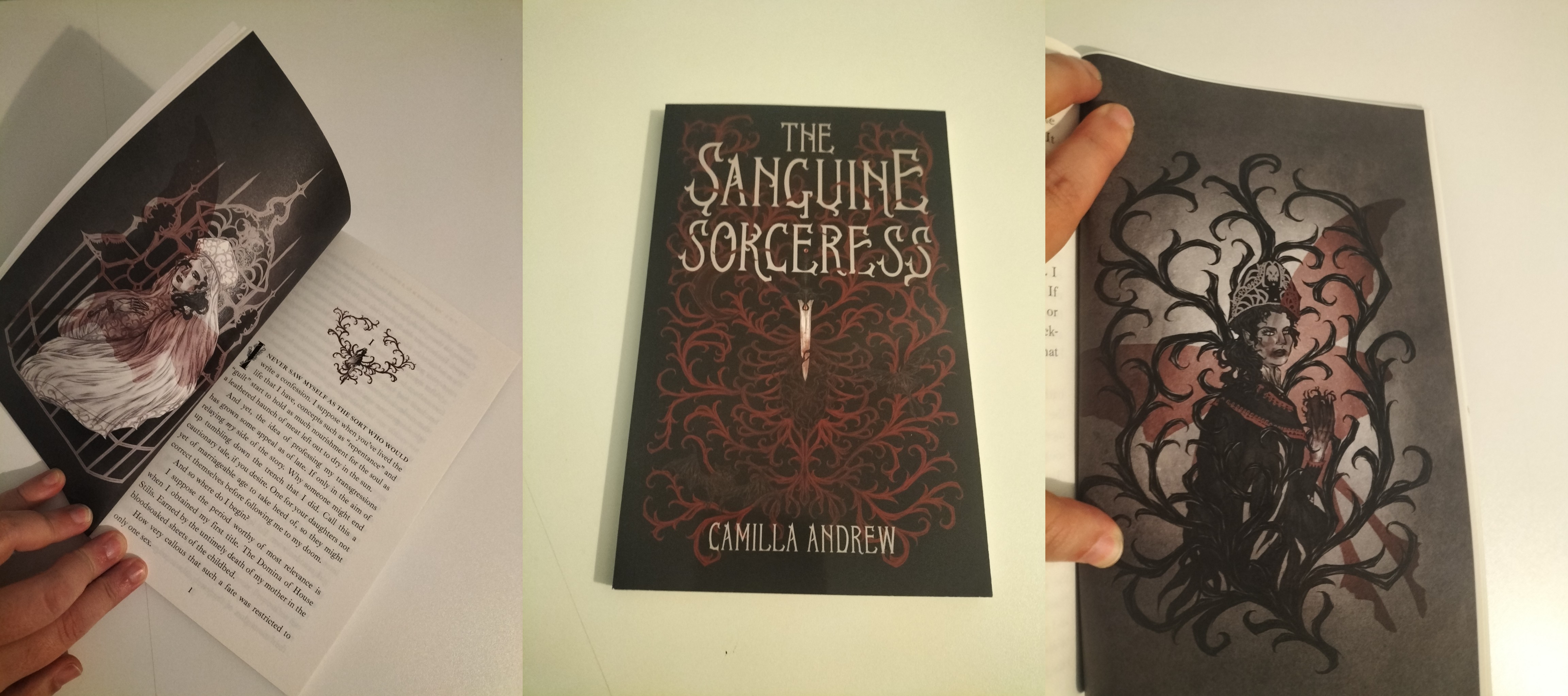 three pictures. The first one shows a book opened on its first page, with an illustration on the left. Over a black background, there's a maiden dressed modestly, in white, drawn as in inside a white guilded cage; over her, the red shadow of a butterfly obscures her. The middle is a book cover for "The Sanguine Sorceress", with red vines over a black background that form the shape of a ribcage, with a dagger insearted in the hard encaged in it. On the left there's another illustration of the same woman, now dressed in black, inside black vines, with the same butterfly shadow; this time, she seems to have blood on her mouth.