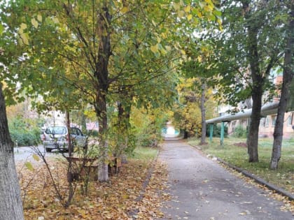 Ошибки отчета о благоустройстве дворов в Владикавказе