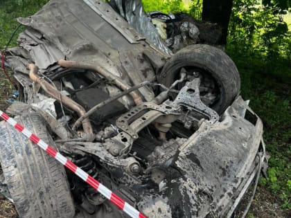 В Северной Осетии автомобиль съехал с дороги и врезался в дерево